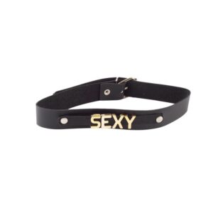 Coleira Personalizada Ajustável 1 Unidade